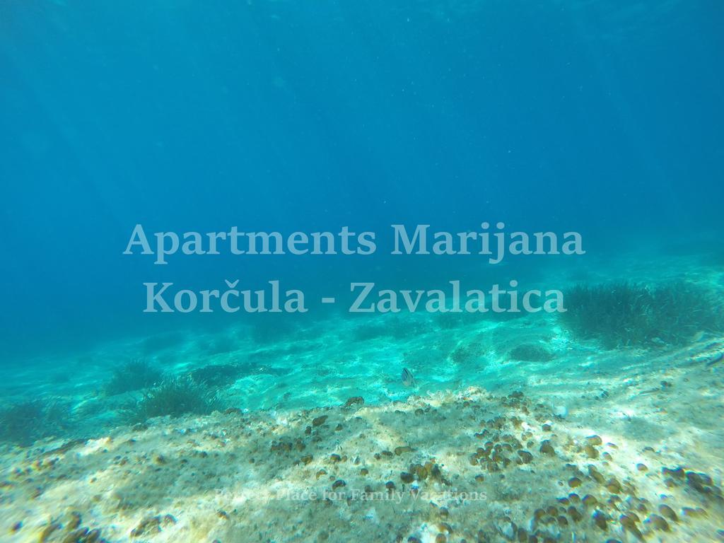 Apartments Marijana Zavalatica Extérieur photo
